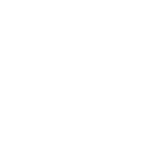 ANPEI - Memo Produções (12)