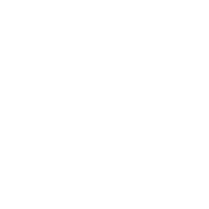 Vibra - Memo Produções (20)
